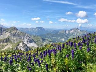 Bergpanorama
