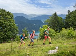 Three hikers with backpacks and trekking poles ascending a grassy mountain trail with view of alpine lake and forested mountains in Salzkammergut.