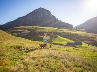 Hike of a couple with dog on the Genneralm