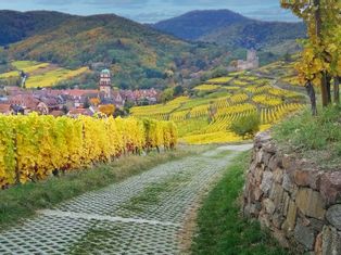 The imperial town of Kaysersberg on the Alsace Wine Route