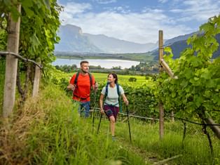 Zwei Wanderer mit Rucksäcken gehen durch Weinreben in Südtirol, mit Kalterer See und Bergen im Hintergrund sichtbar.