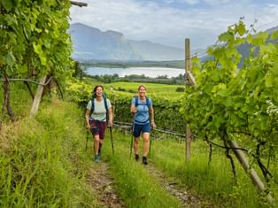 Hiking in the vineyards around Lake Kaltern