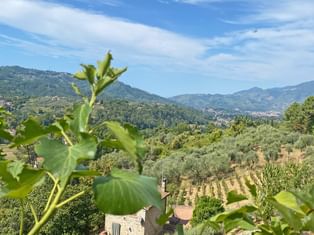 Wandern in der Toskana