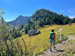 Hikers on a gravel path through an alpine meadow in Bavaria. Forested mountains and blue sky visible in the background.