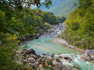 Turquoise Soča River flowing through rocky valley in Julian Alps, framed by green trees and mountains in background.