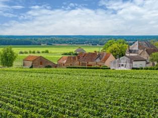 A village in the Burgundy wine region