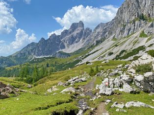 Hiking trail between alpine meadows and rocks, with the Dachstein massif in the background