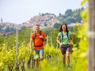 Hikers in the vineyards near Montforte Hikers in the vineyards near Montforte