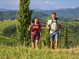 Hike in the hills of Tuscany
