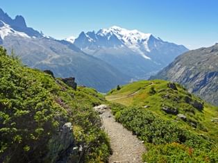 Blick auf einen WAndersteig, im Hintergrund der Mont Blanc