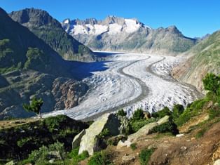 View of the Aletsch Glacier from the panoramic trail