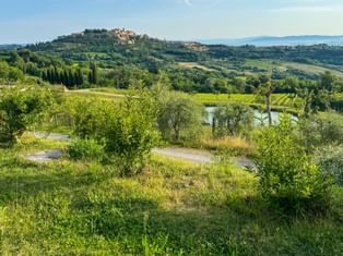 Picturesque landscape near Siena