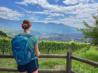 Female hiker with blue backpack at wooden fence overlooking vineyards and valley in Vinschgau. Mountains and town visible under cloudy sky.