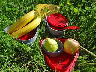 Hiking snack with fresh fruit