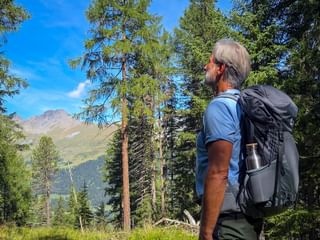 Hiker with backpack viewing mountain landscape through conifer trees. Alpine peaks visible in distance under blue sky on Munich-Venice trail.