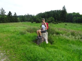 Frau sitzt auf Baumstumpf auf Wiese