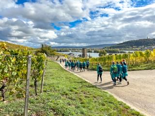 Company outing in Ruedesheim