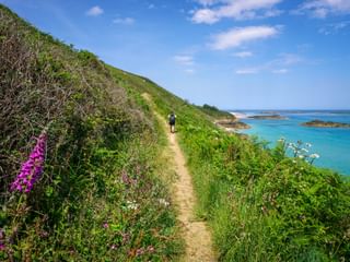 Hiker on coastal path with green hillside and turquoise sea on the Channel Islands. Pink foxgloves bloom beside the trail.