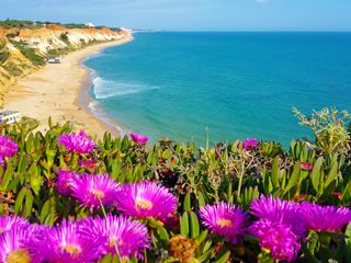 Colourful flowers and fine beaches while hiking along the Algarve coast