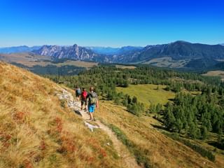 Three hikers walking on a mountain trail at Postalm near Pitschenberg with alpine meadows, forests, and rocky peaks under clear blue sky.