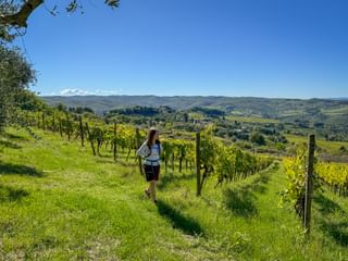 Woman hiking through vineyard rows in Panzano, Tuscany, with rolling hills and olive groves under blue sky in the background.