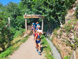 Wandernde Kinder am Wanderweg
