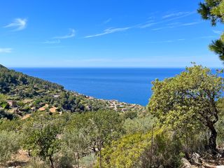 Ausblick auf Mallorca's Natur und das Meer