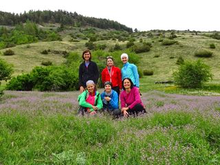 Hikers on a flower meadow
