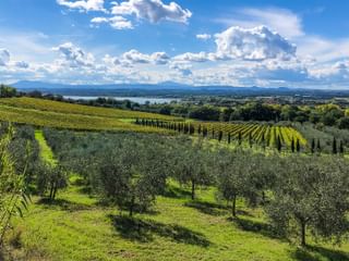 Umbrien Franziskusweg mit Blick auf Trasimener See