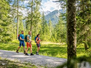 Wanderweg im Wald