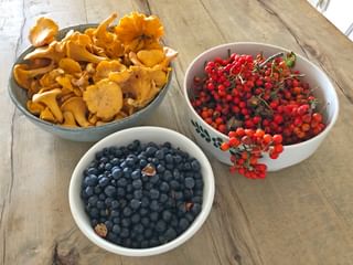 Autumn is harvest time