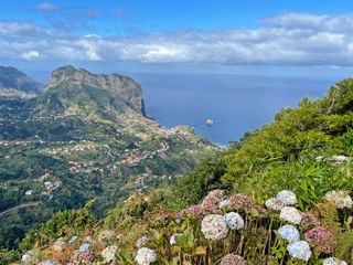 Panoramic view of Madeira's north coast with white and pink hydrangeas in foreground, green mountains, villages, and blue ocean.