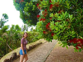 Wanderin auf den Azoren