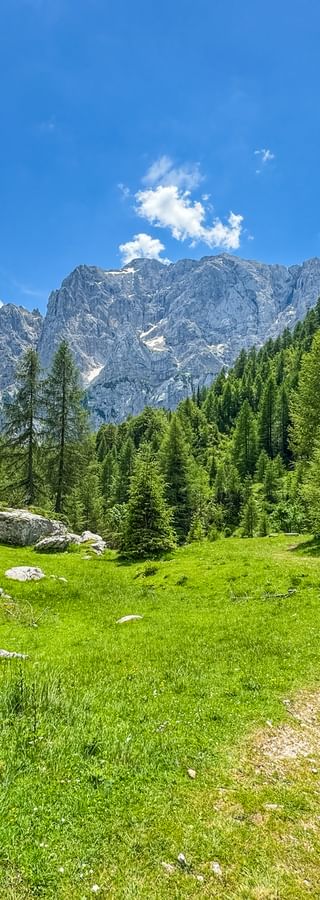 Hiking trail in Kranjska Gora