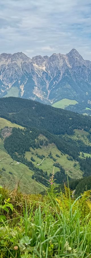 Alpine panorama in Saalbach-Hinterglemm with rocky mountain peaks, forested hills, green meadows, and evergreen trees in the foreground.