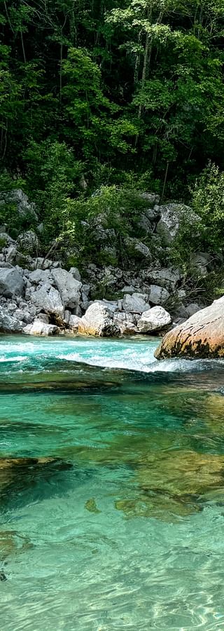 Man standing in crystal-clear turquoise Soča River near Kobarid. White rocks and dense green forest line the riverbank.