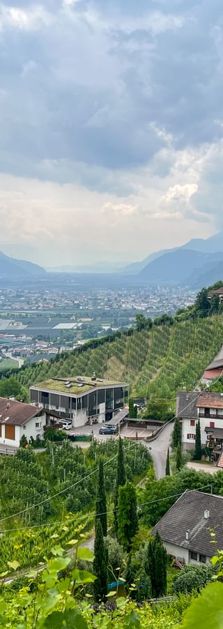 Blick über die Weinhügel nach Tscherms