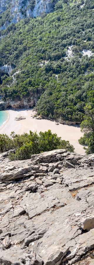 Hiker with sea view at Spiaggia di Cala Sisine