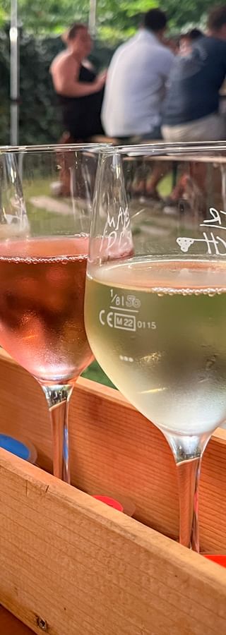 Weingläser mit verschiedenen Weinen