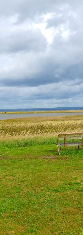 Ausblick auf den Stand am Oesterlenleden