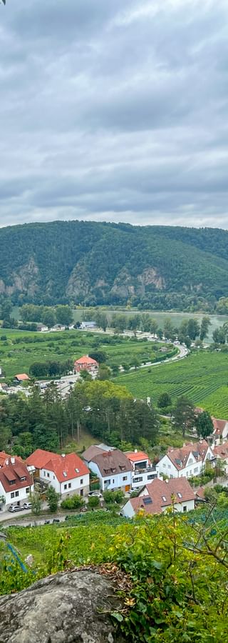 Elevated view of Dürnstein village with red-roofed houses, vineyards, and the Danube River winding through the Wachau Valley under cloudy skies.