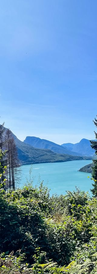 Lake panorama