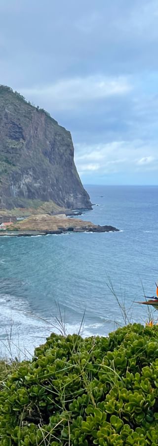 Nordküste von Madeira mit Blumen