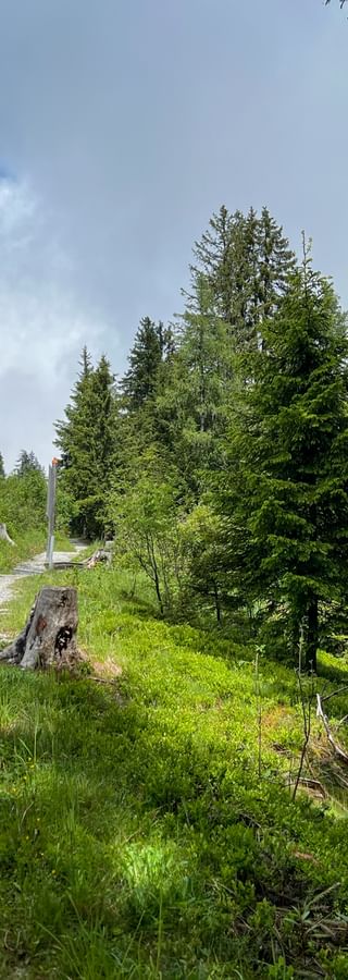 Hikers on the Schmittenhöhe