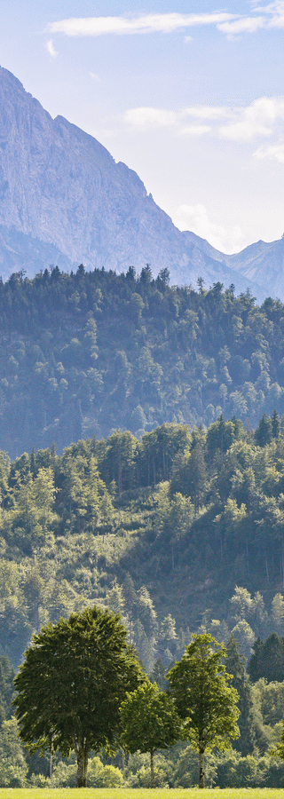 Sustainability header