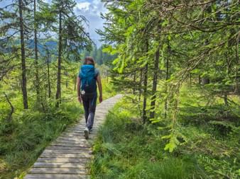 Wanderin mit blauem Rucksack auf Holzsteg durch Pokljuka-Hochmoor in den Julischen Alpen, umgeben von Nadelbäumen und Gras.
