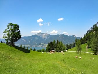 Unspoilt hiking trails at Scharten alp above lake Wolfgangsee