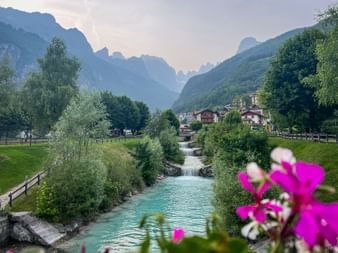 Türkisblauer Fluss mit pinen Blumen am Rio Masso in Molveno