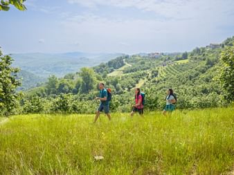 Hikers in Piedmont