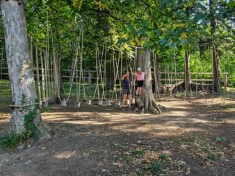 Climbing frame at the forest playground